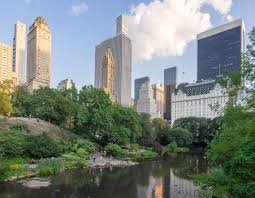 Central Park with a creek down the middle and buildings in the background 