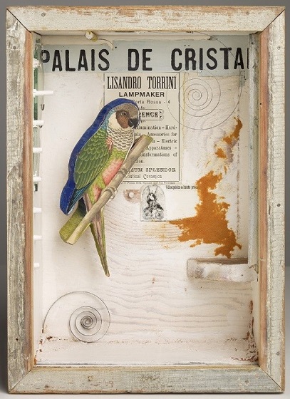 Joseph Cornell's untitled work that displays a parrot in a glass box