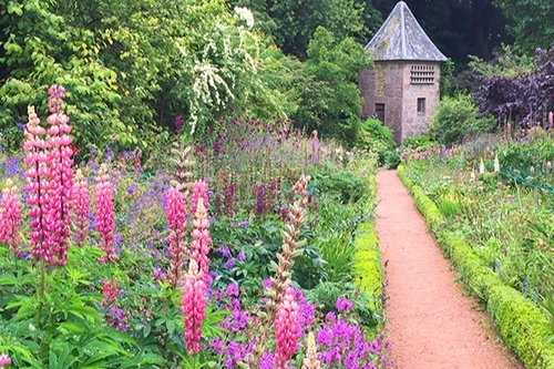 a path to a garden folly in the shape of a small tower, to the left there are pink stalk flowers and on the right grass