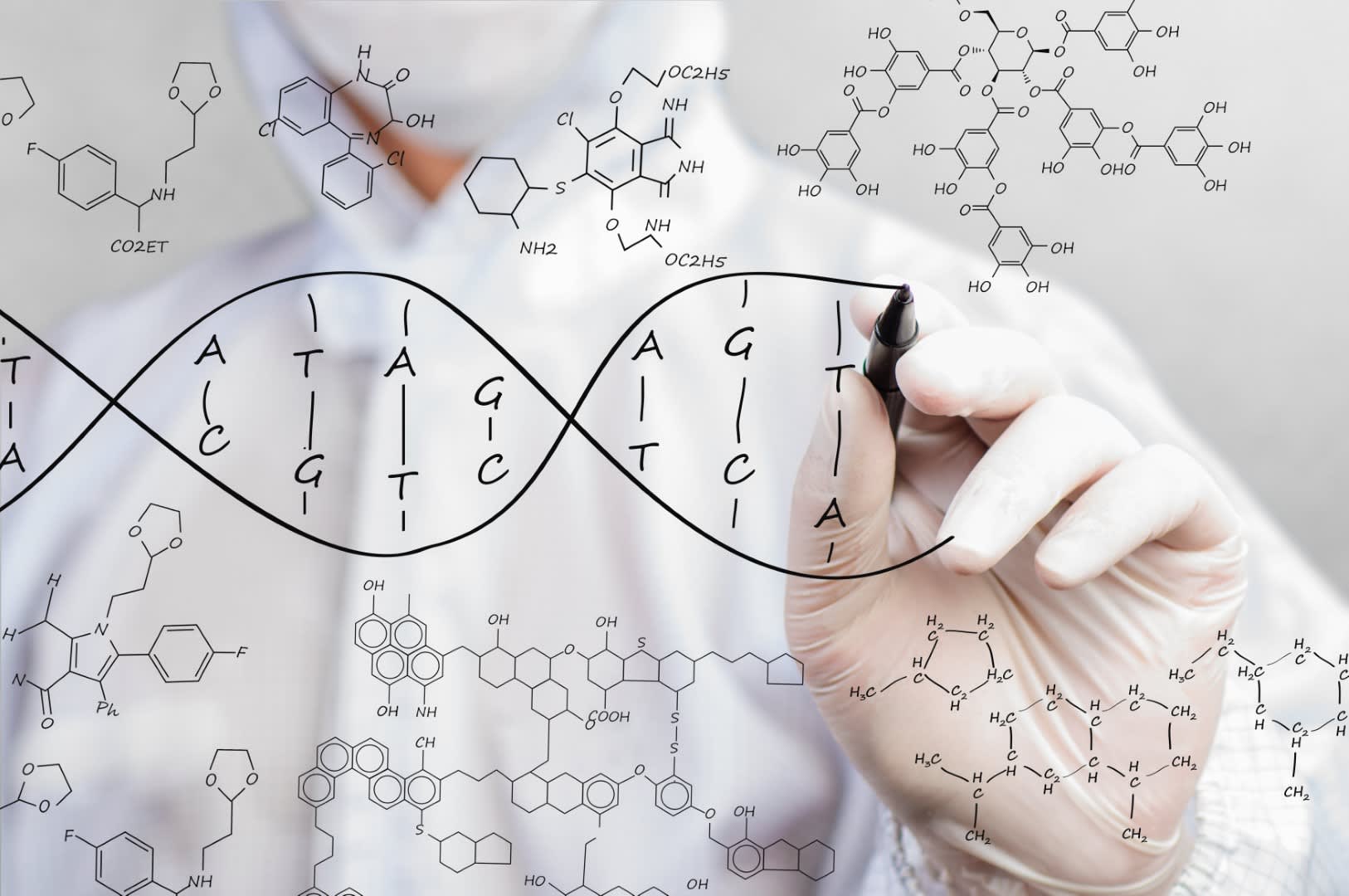 A scientist diagrams a DNA sequence. 
