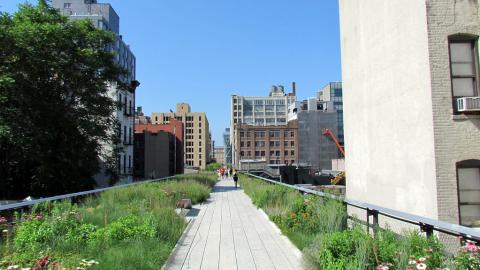 A forward view through the high line. 