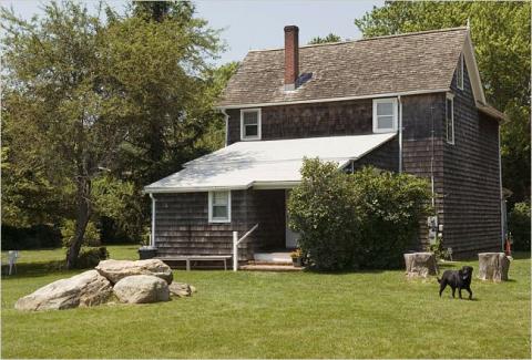 color photo of a brown house surrounded by trees in full bloom and a dog running through the yard