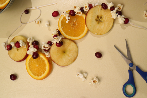 color photo of a string of dried fruit, cranberries and popcorn