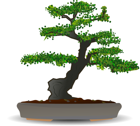 Bonsai tree rendered in a cartoonish style 