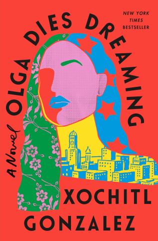 book cover for olga dies dreaming