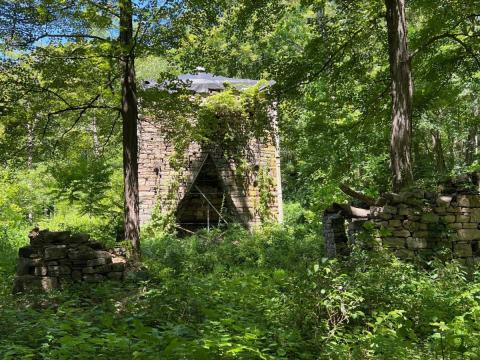 a large stone in the middle of the woods