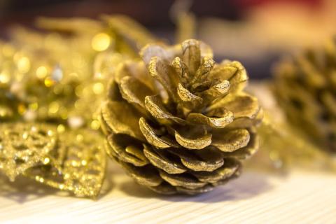 golden pinecone